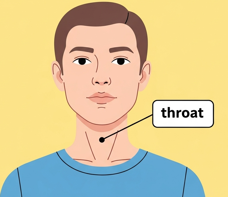 throat